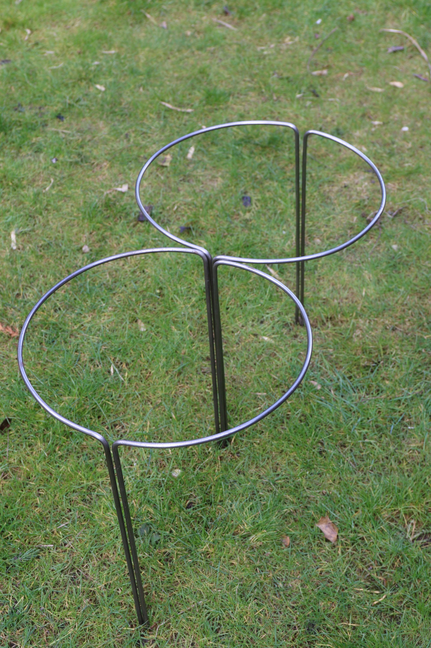 Bow Plant Supports (Set of 4)