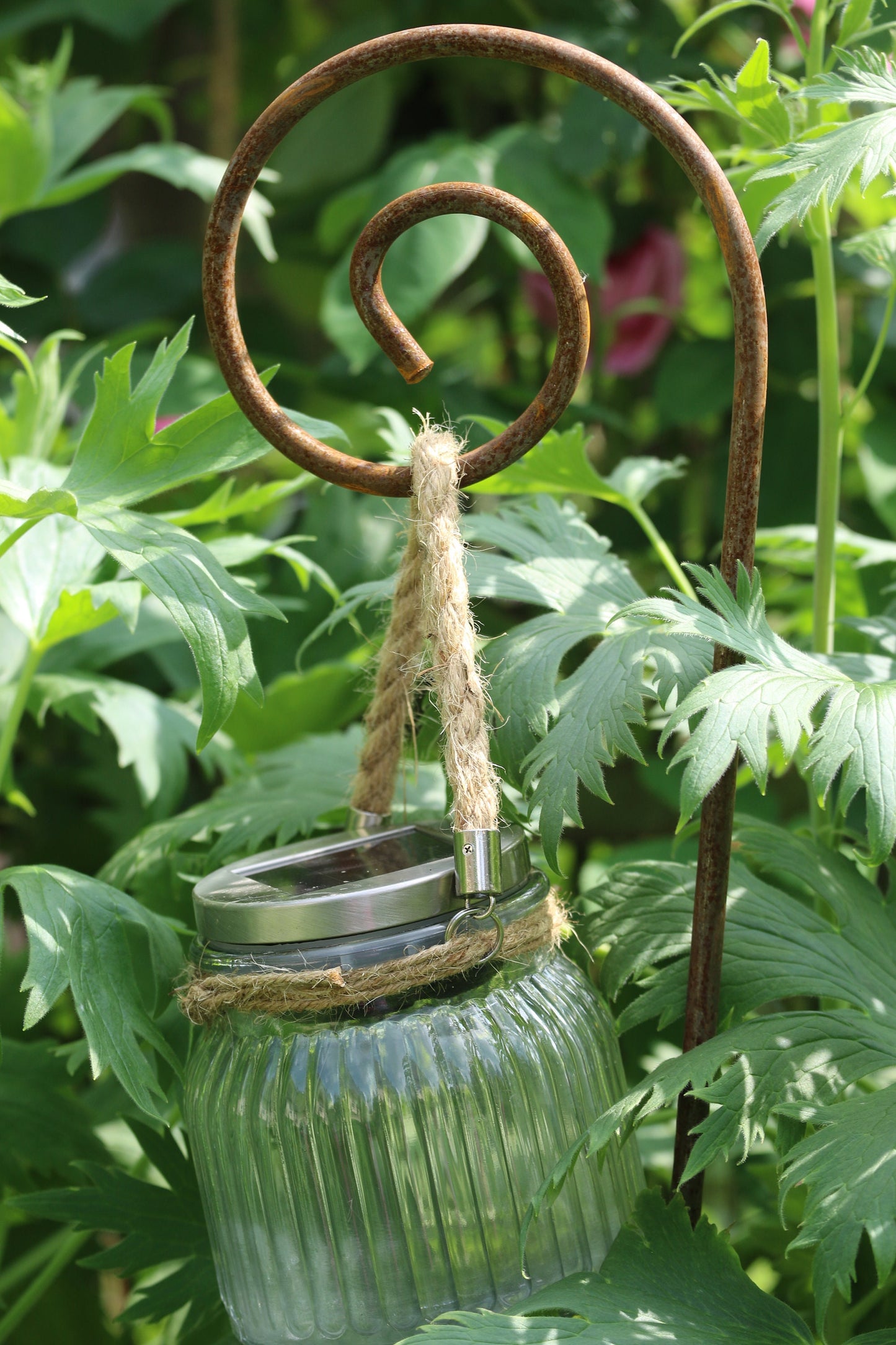 Garden Crook