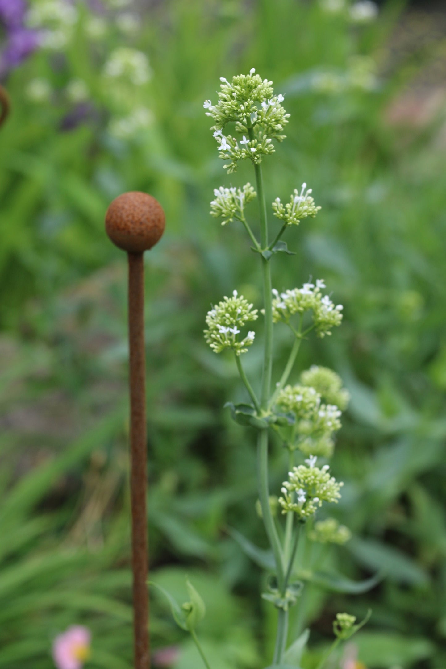 5 X Solid Steel Ball Topped Garden Stake / Support