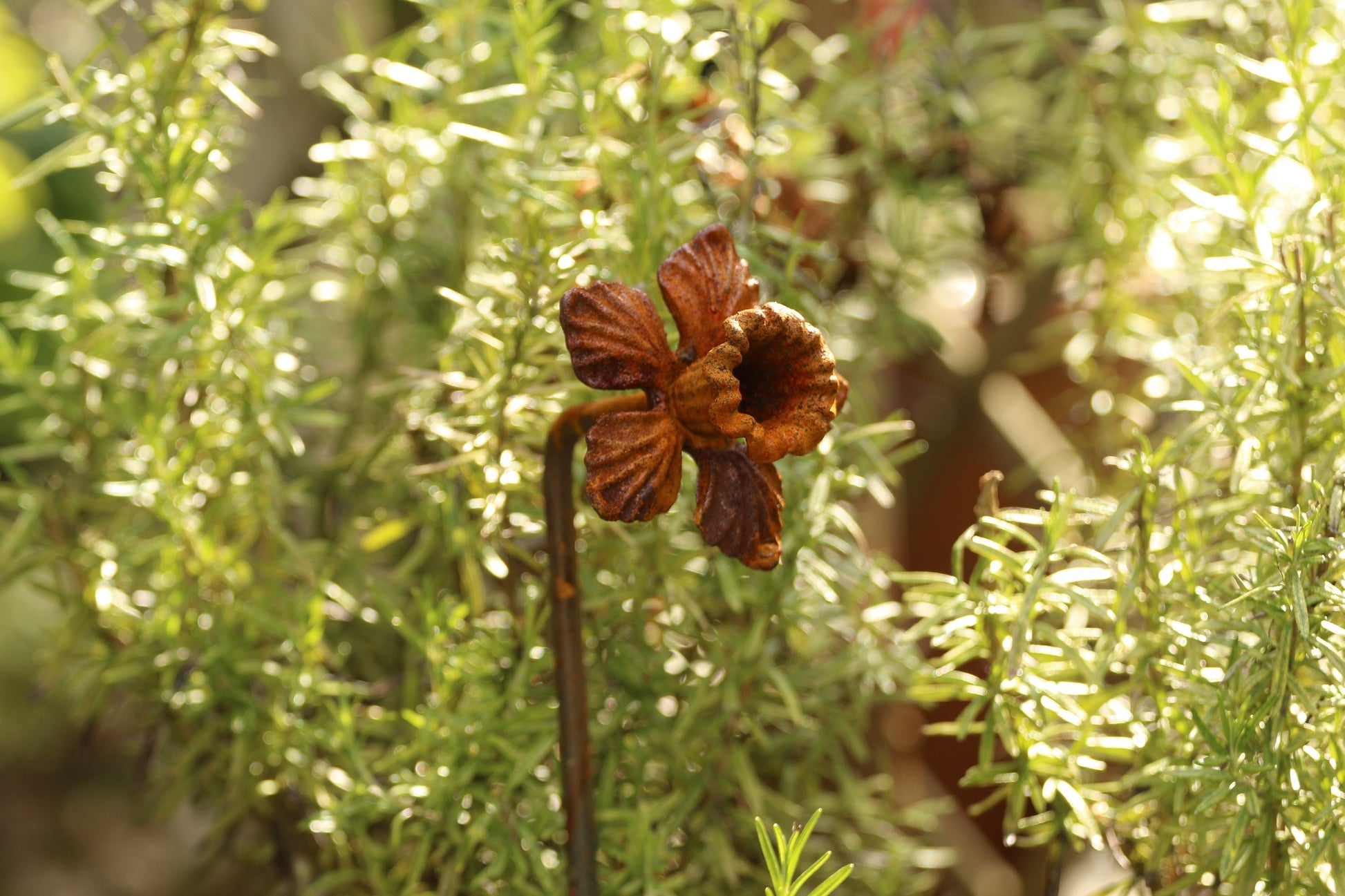 Rusty Daffodil Plant Stake / Plant Support