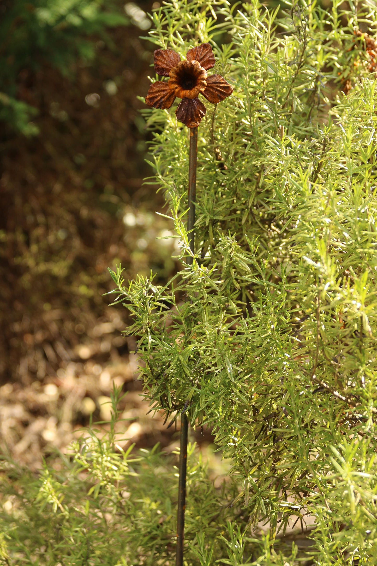 Rusty Daffodil Plant Stake / Plant Support