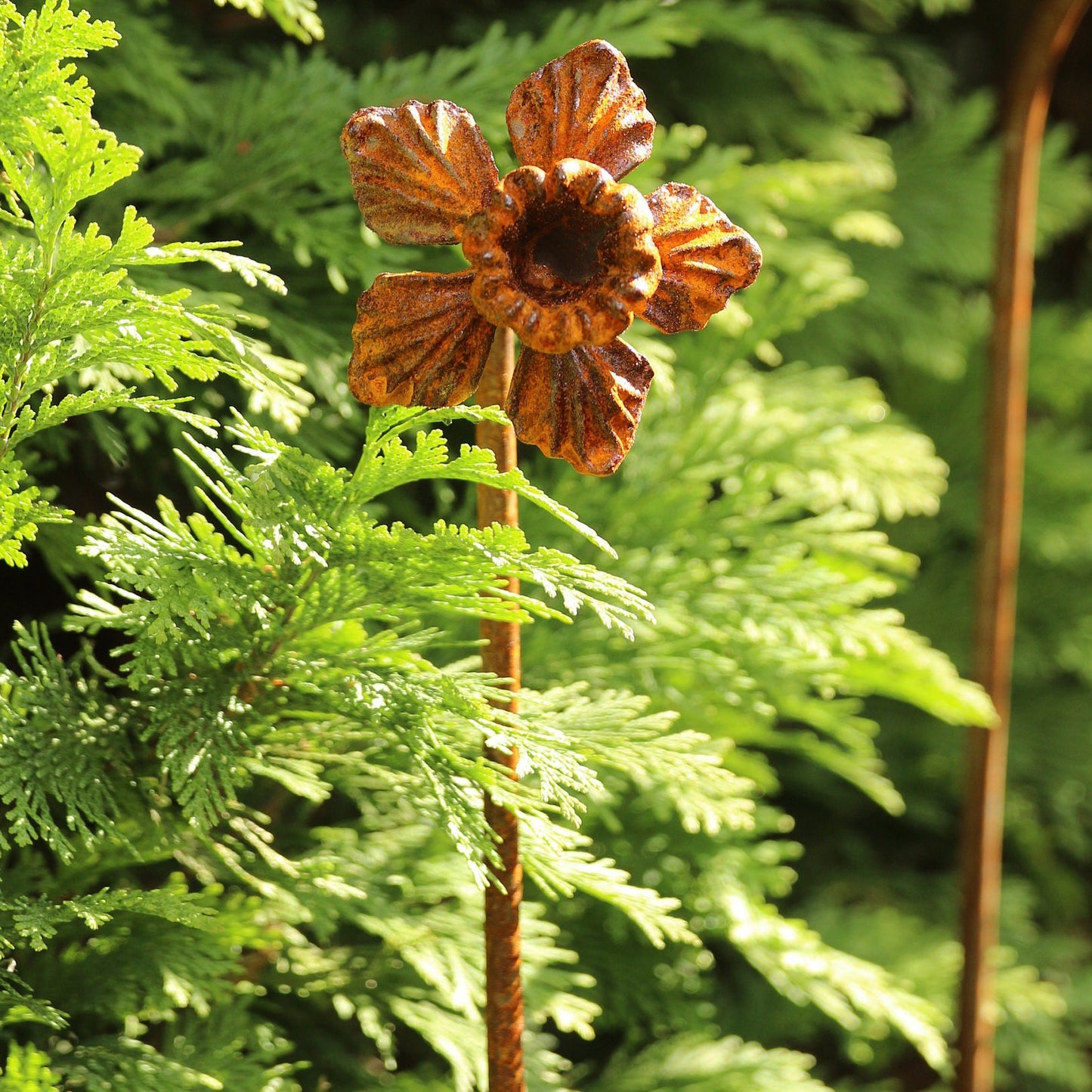 Rusty Daffodil Plant Stake / Plant Support