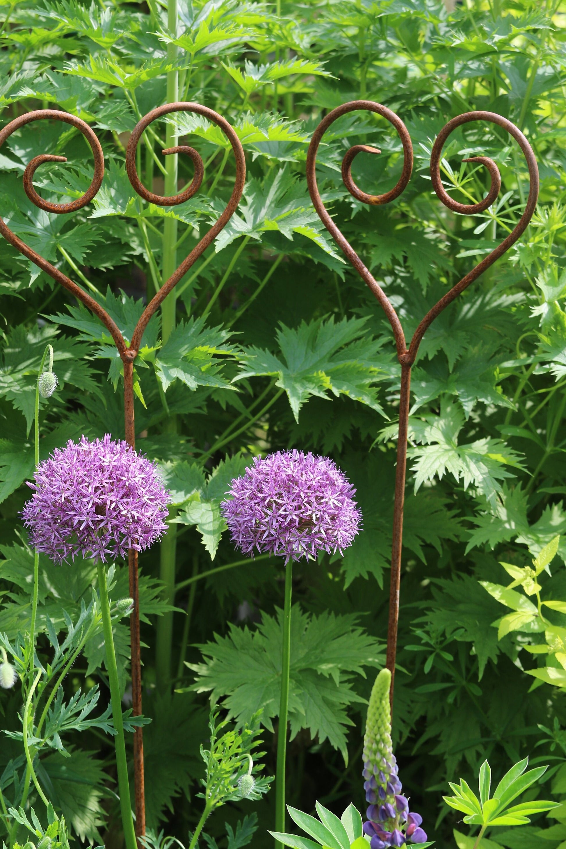 L'Amour Handmade Cottage Garden, Vintage Style Plant Support / Stake