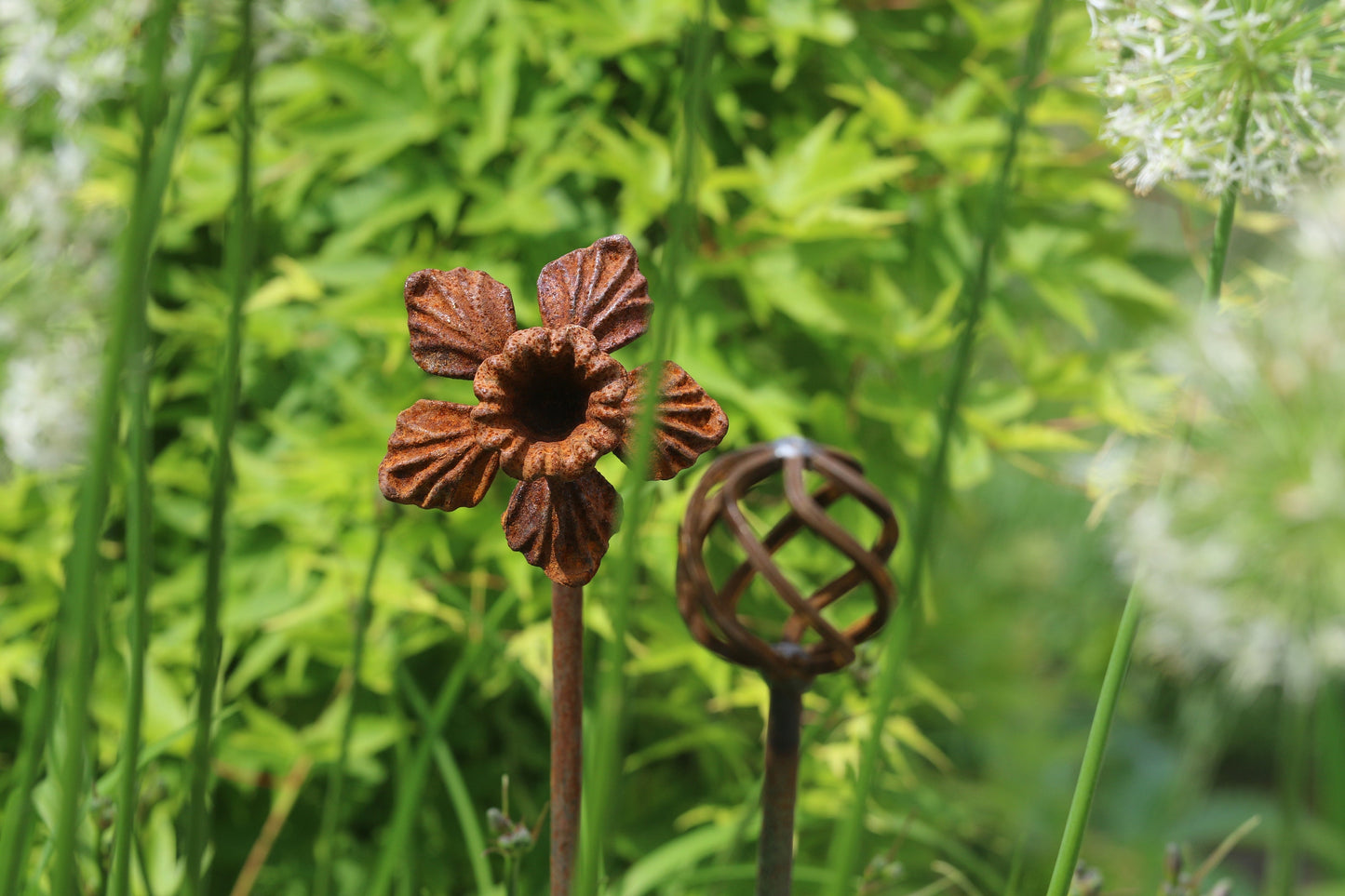 Rusty Daffodil Plant Stake / Plant Support