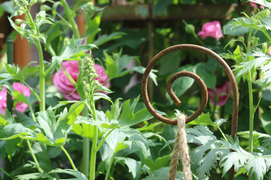 Rusty Crook Handmade Plant Supports – Rusty Things