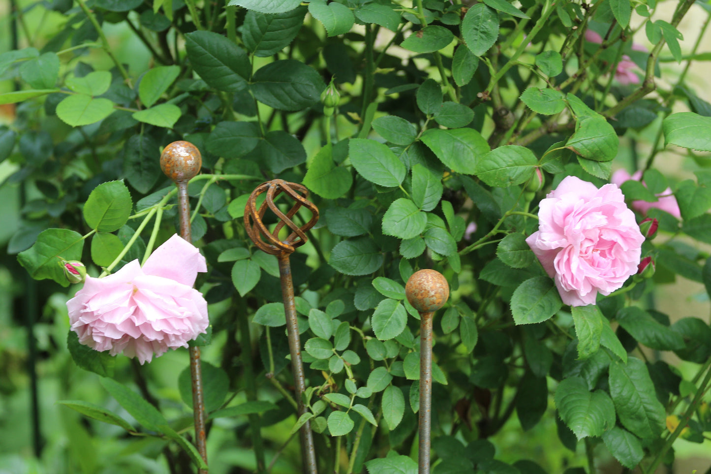 Round Basket Garden Stake / Support